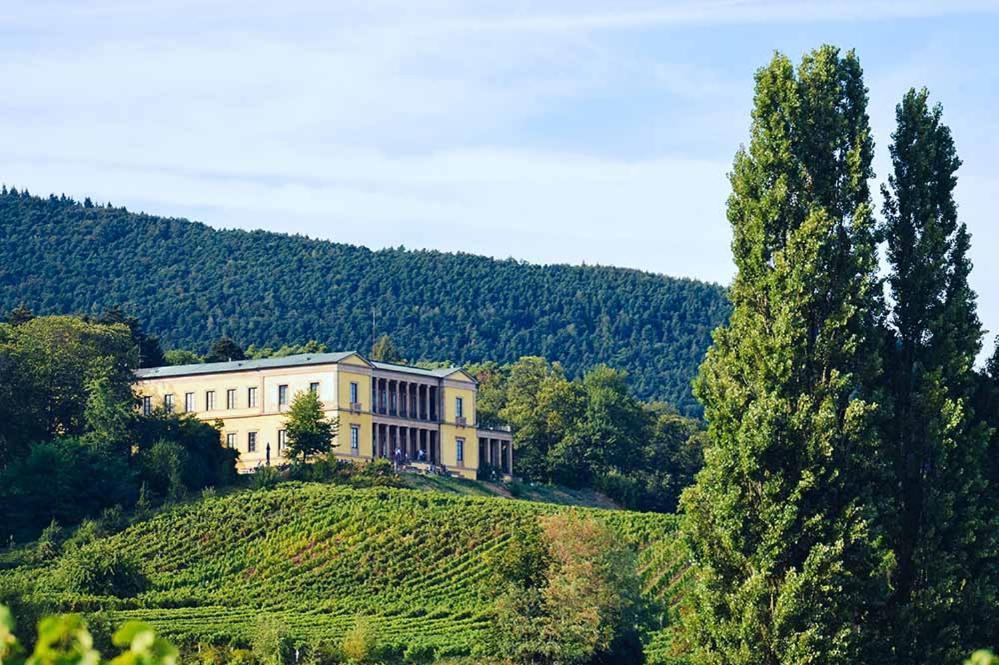 Pfalz-Dorfhaus ブルルヴァイラー エクステリア 写真